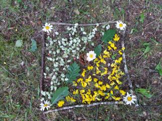 fleurs